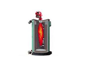 ��ʽȼ��������¯